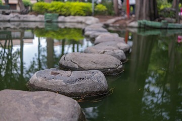Fototapeta na wymiar Stones path on pond with blurry trees as background