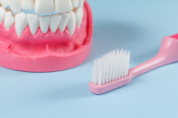 Toothbrush and layout of the human jaw on the background.