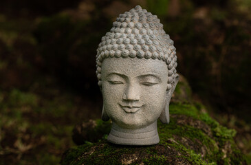 Stone Buddha Head in Garden