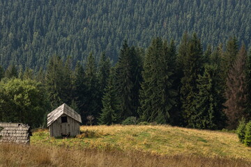 Abandoned buildings in the mountains, wooden houses against the background of rocks, the natural landscape, green meadows and forests