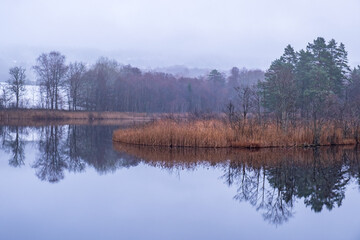 Lake by a forest in December weather