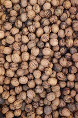 close up of a pile of hazelnuts