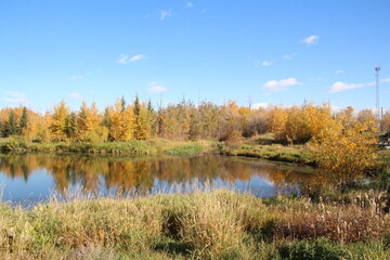 Autumn On The Pond, Pylypow Wetlands, Edmonton, Alberta