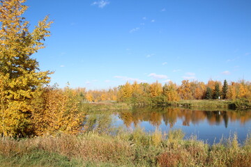 Fototapeta na wymiar Autumn On The Wetlands, Pylypow Wetlands, Edmonton, Alberta
