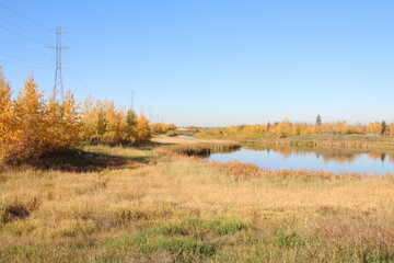 Fall On The Wetlands, Pylypow Wetlands, Edmonton, Alberta