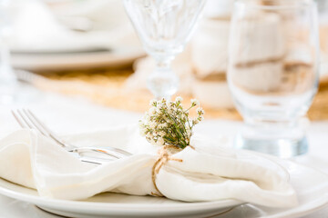 Beautiful table setting with gypsophila flowers, closeup