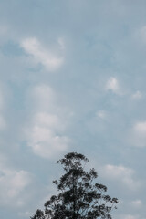 beautiful  sky background with clouds