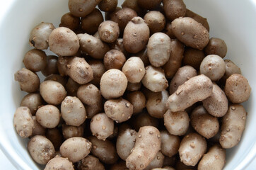 Yam Bulbil as healthy food. The part of the bud that has accumulated nutrients and has become enlarged.