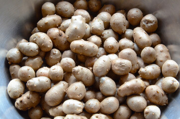 Yam Bulbil as healthy food. The part of the bud that has accumulated nutrients and has become enlarged.
