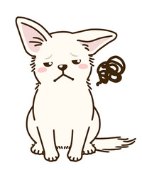 不満があるチワワ（白）
