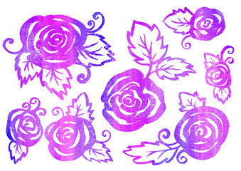Watercolor artistic multicolor Set of floral Rose elements in the style of line art wedding theme on a white background. Doodle and scribble. violet, purple and lilac Roses and leafs for postcard and