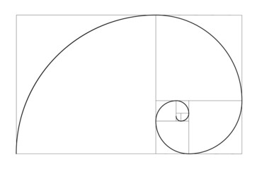 Vector golden relationship template. Golden spiral, golden ratio, Fibonacci array, Fibonacci number. Divine proportions.