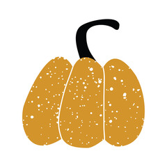 Autumn pumpkin. Orange pumpkin with a grunge effect. Vector illustration isolated on a white background for design and web.