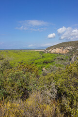 Naklejka premium Autumn natural background. Top view on the Ulcellina Park, Maremma, Italy. Hilly landscape with blue sky with some clouds. Vertical image.