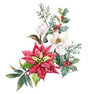Beautiful floral christmas composition with hand drawn watercolor winter flowers such as red poinsettia holly. Stock 2022 winter illustration.