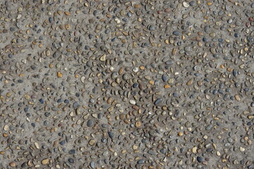 玉砂利の遊歩道