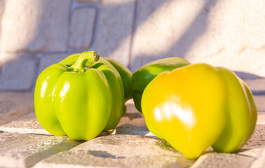 Green large sweet pepper ripened in the country.