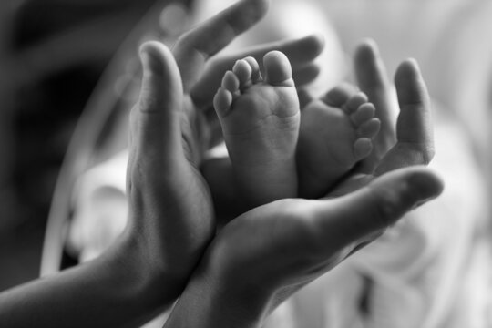 Children's feet in the hands of the father. Father and his child. Happy family concept. Beautiful conceptual image of parenting. Black and white photo.