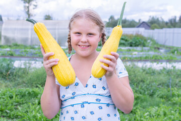 The girl holds in her hands large ripe zucchini grown in the garden.