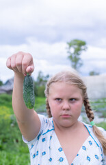 At the dacha, a girl holds fresh green cucumbers in her hands. 