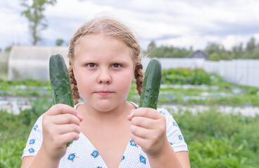 At the dacha, a girl holds fresh green cucumbers in her hands. 