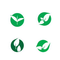 Obraz premium Logos of green Tree leaf ecology
