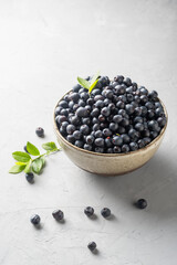 Blueberry bowl on white background with copy space in rustic stylel