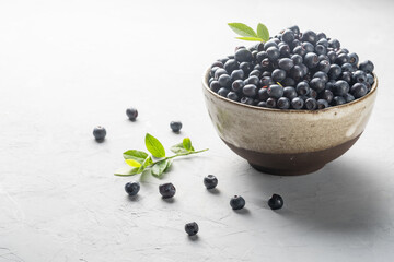Blueberry bowl on white background with copy space in rustic stylel