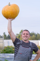 Naklejka na ściany i meble Autumn. Harvesting. A man is holding a huge ripe yellow pumpkin in his hands. 
