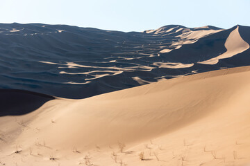 Fototapeta na wymiar the shapes of sand dunes in Lut desert