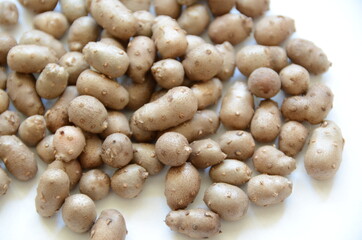 Yam Bulbil as healthy food. The part of the bud that has accumulated nutrients and has become enlarged.