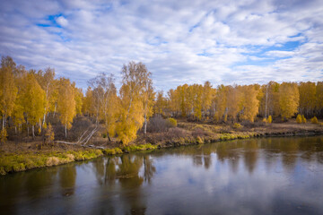 autumn trees on the river
