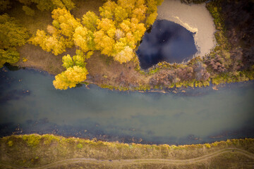 autumn leaves on the water