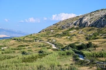 Fototapeta na wymiar Nature on island Pag, Croatia. Green hills, blue Adriatic sea and mountain Velebit in distance. 