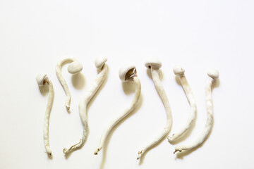 Dried psilocybin mushrooms on a white background, variety psilocybe cubensis rasta white. Cultivation, creation of conditions. Microdosing, psychedelic trip, recreation and change of consciousness