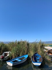 Naklejka na ściany i meble boats on the reeds on the lake, blue sky