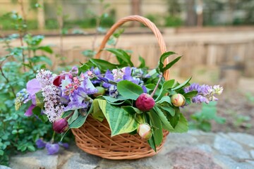 Basket with fresh spring cut flowers in the garden