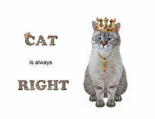 A ash cat in a golden crown is sitting. Cat is always right. White background. Isolated.