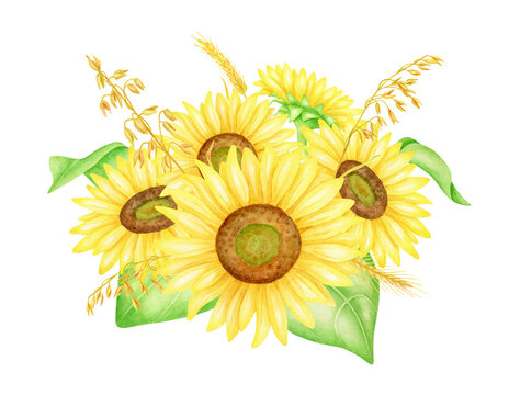 Sunflower bouquet with wheat spikelets, hand painted watercolor illustration. Fall floral arrangement clipart. Bunch of yellow autumn flowers, leaves isolated on white background. Botanical drawing.