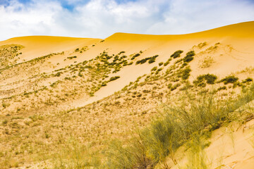 view of the sand dunes in the desert, african nature