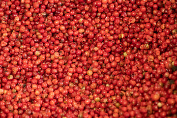 pink pepper texture peppercorn background south american spice Brazil and Peru origin
