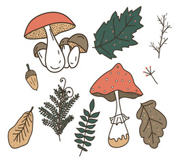 Vector set of forest fungus. Amanita, porcini mushroom, fern, autumn leaves, acorns.