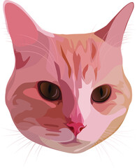 Vector beautiful cat of peach color. Cat for printing on fabric.