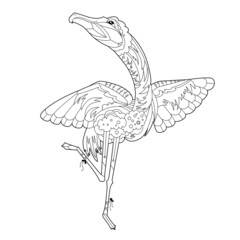 Cute bird flamingo. Doodle style, black and white background. Funny animal, coloring book pages. Hand drawn illustration in zentangle style for children and adults, tattoo.