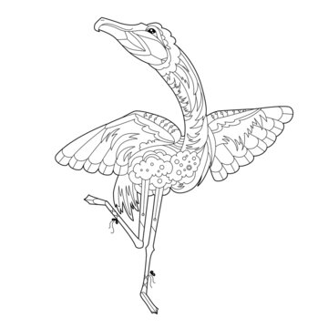 Cute bird flamingo. Doodle style, black and white background. Funny animal, coloring book pages. Hand drawn illustration in zentangle style for children and adults, tattoo.