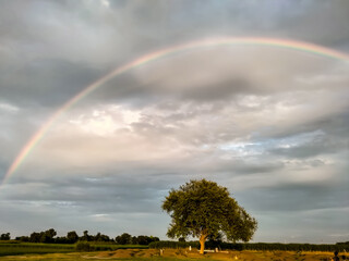 A rainbow over the field in the sky after rain looks beautiful.