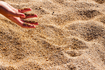 Child holding shells and coral. Corral strand beach, county Galway, Ireland, Warm sunny day. Exploring nature concept
