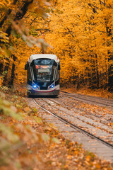 Tram in the autumn forest