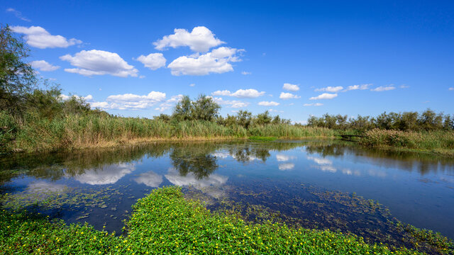 R&eacute;serve du Scamandre en Camargue