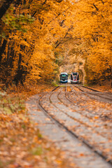 Tram in the autumn forest
